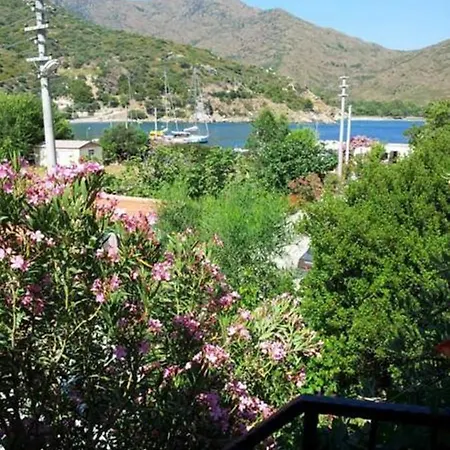 Aydeniz